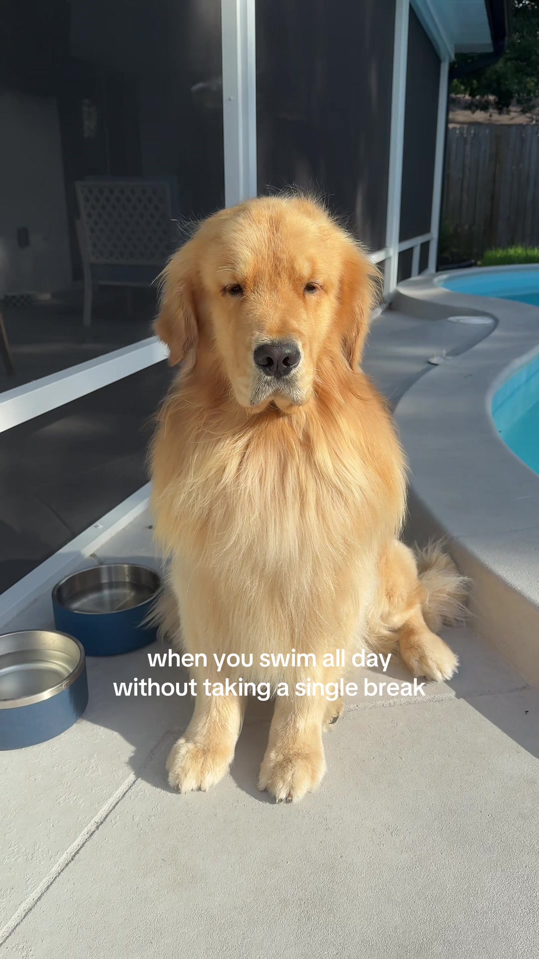@reef the golden