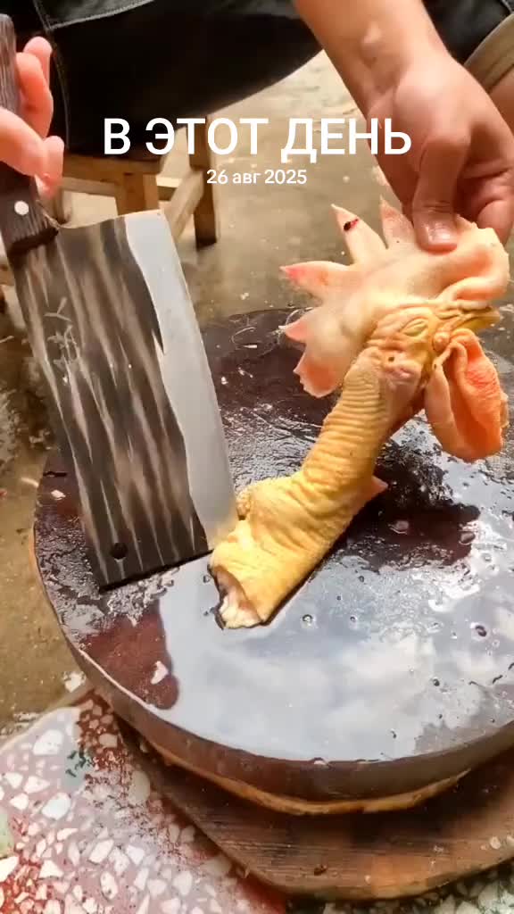 @попотряс маршмелоу коч🇰🇿🇰🇿