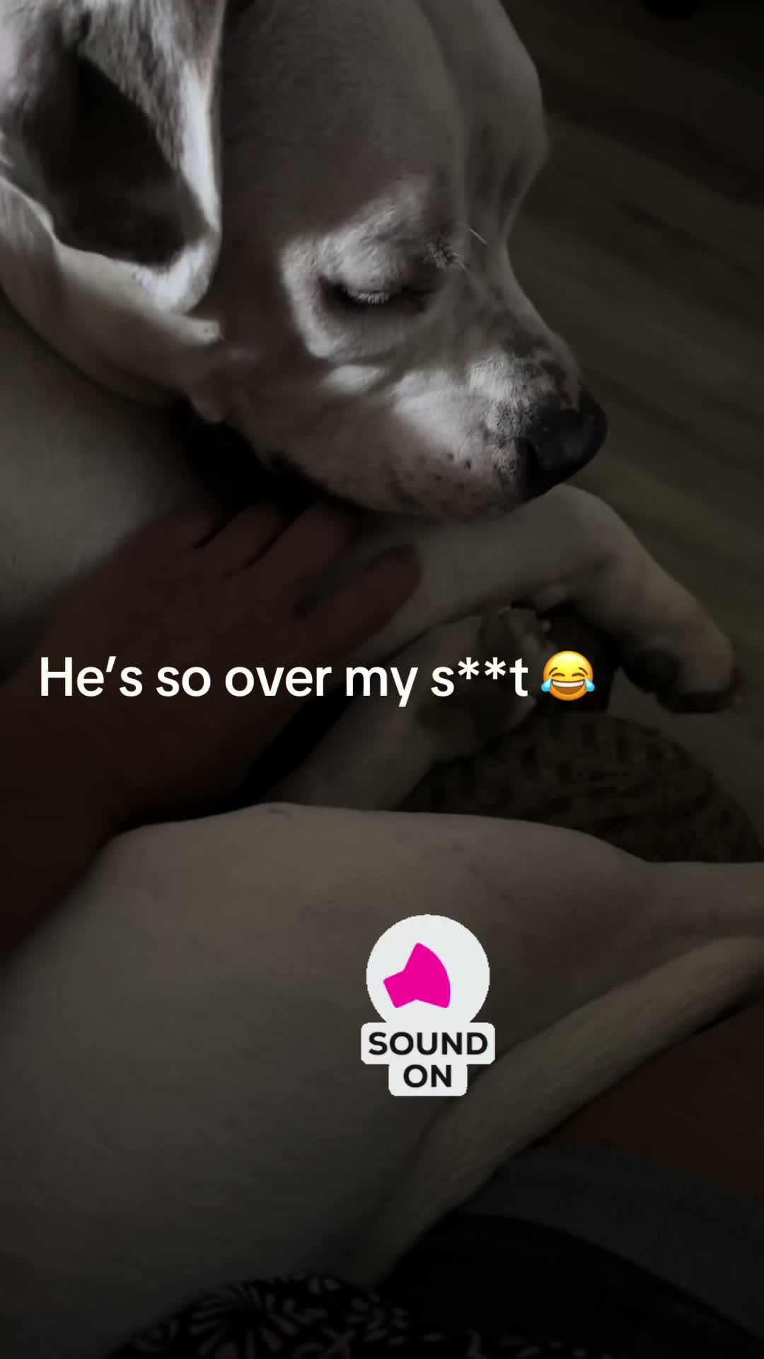 @chrissyvegas702