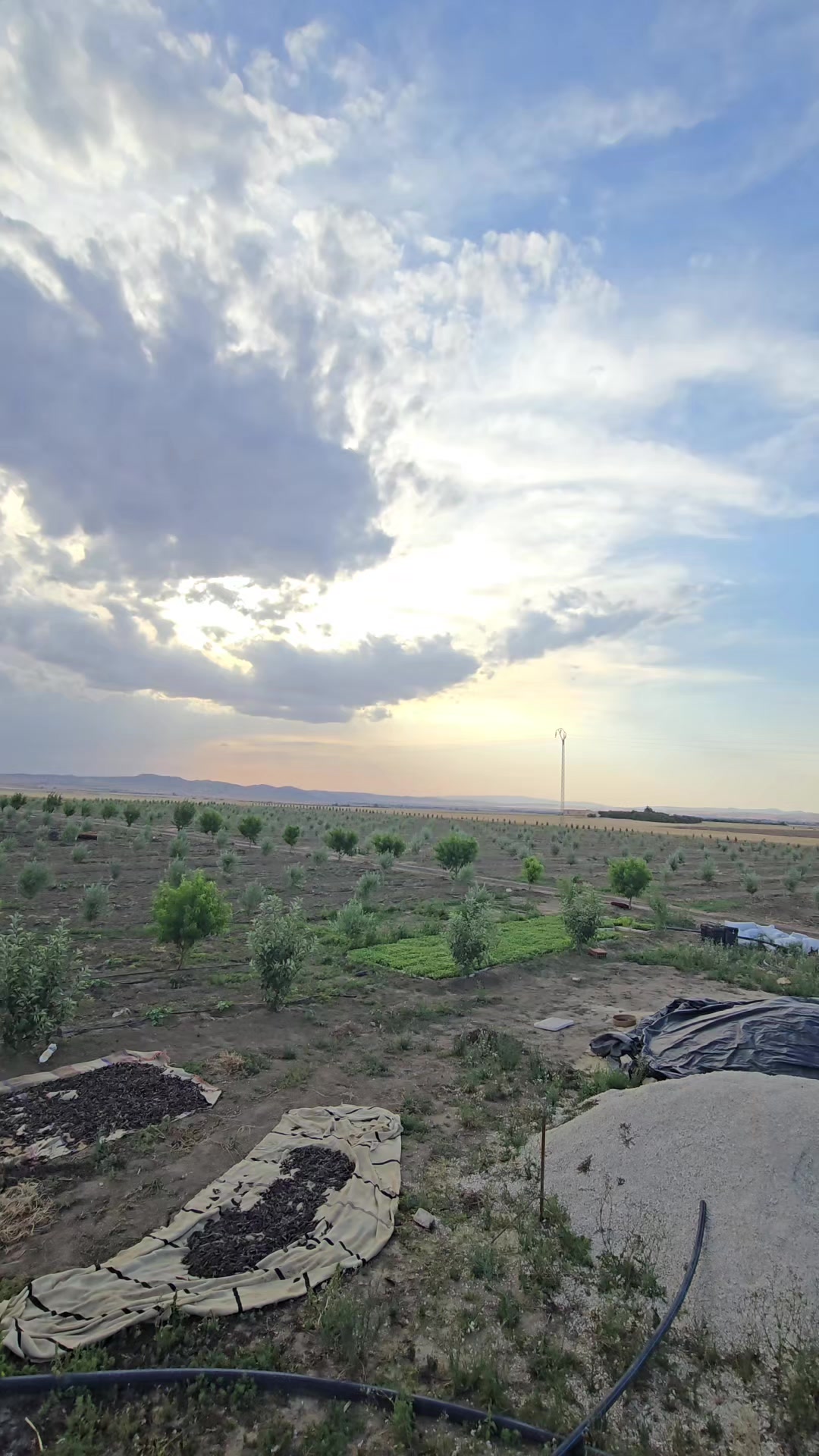 @Yassin Haj Taher