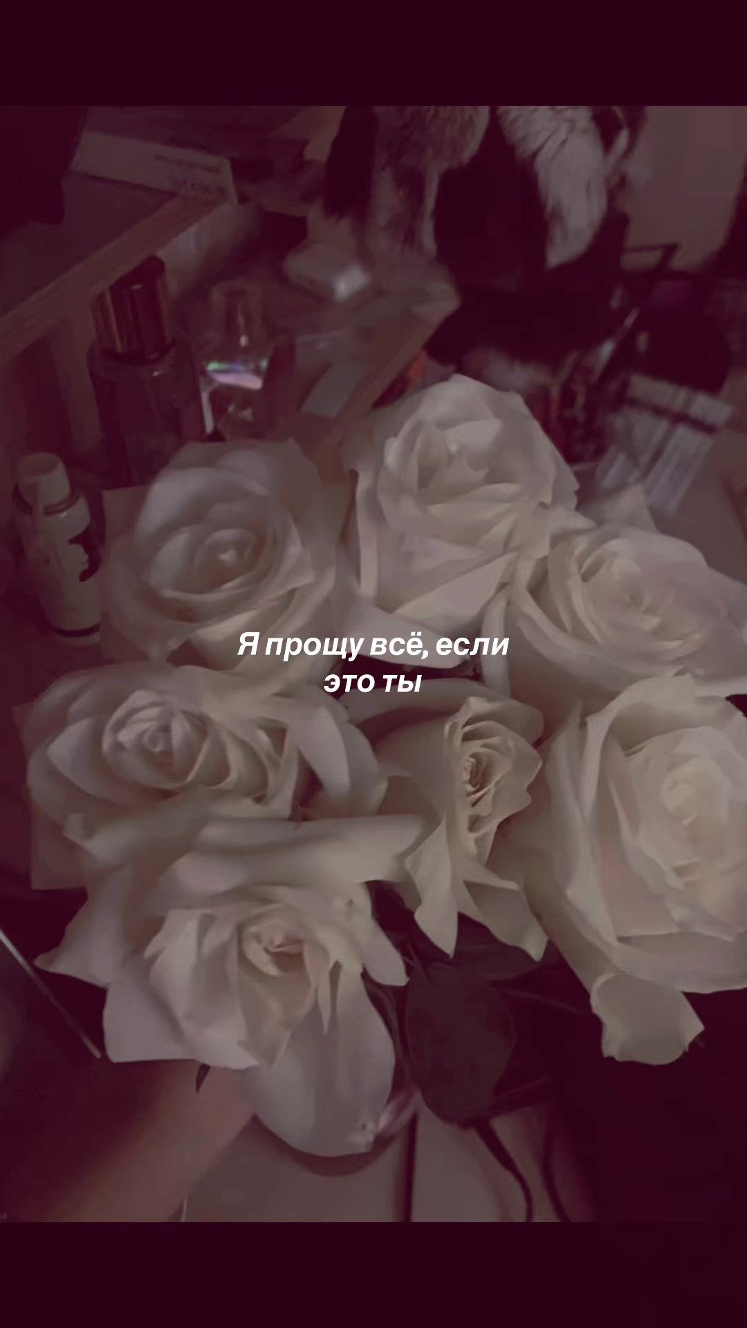 @𖣂︎ Леонова