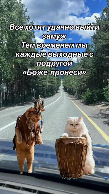 @❤️.NIN-DZUA❤️