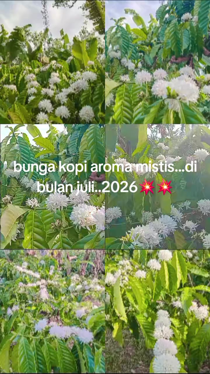 @Nyoman Suardana