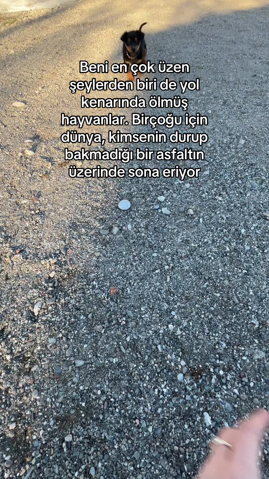 @Alina🇹🇷