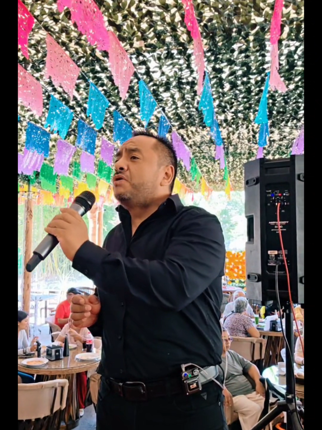 @Jerry Mariscal 🎶
