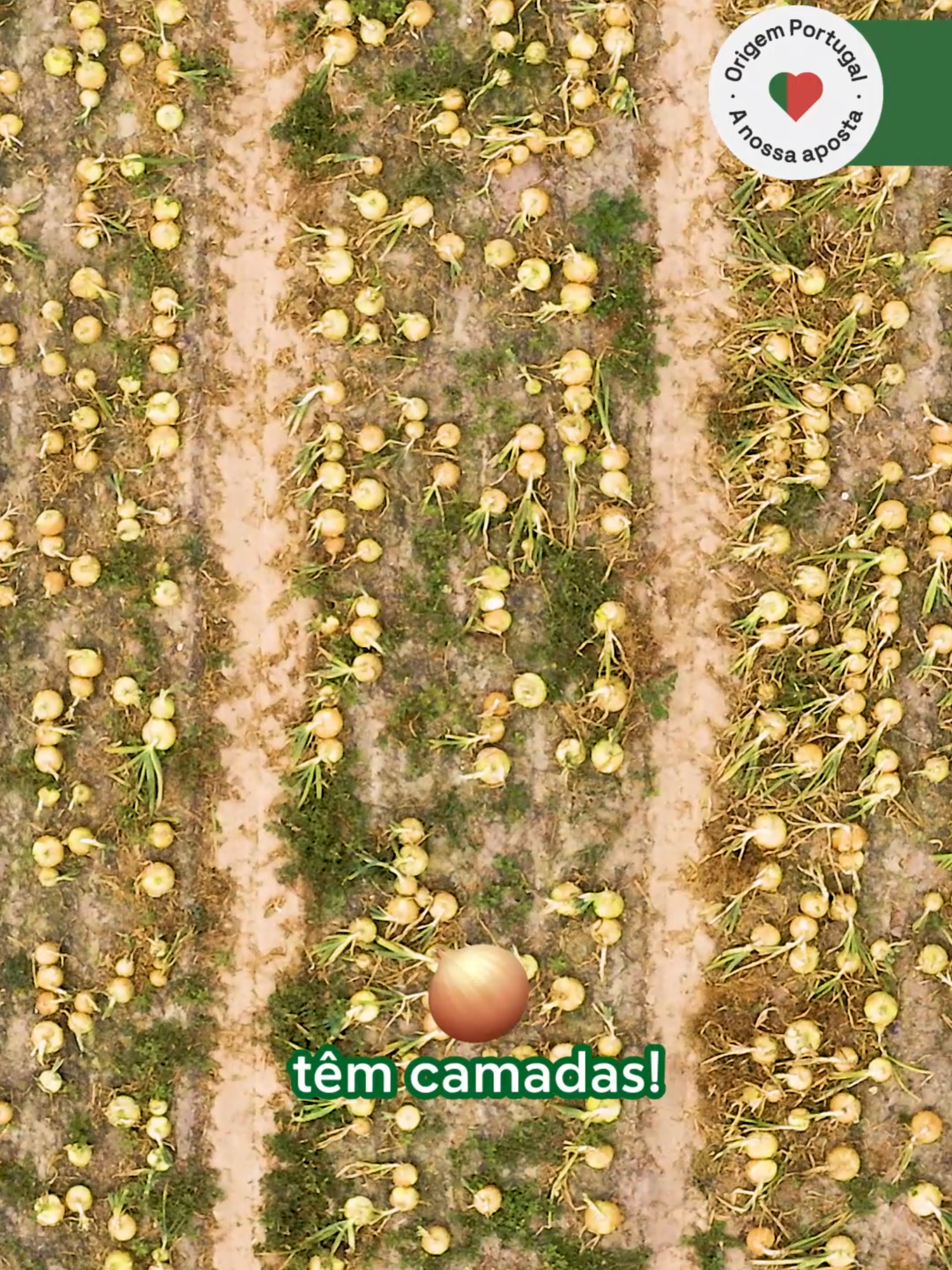 @Mercadona Portugal