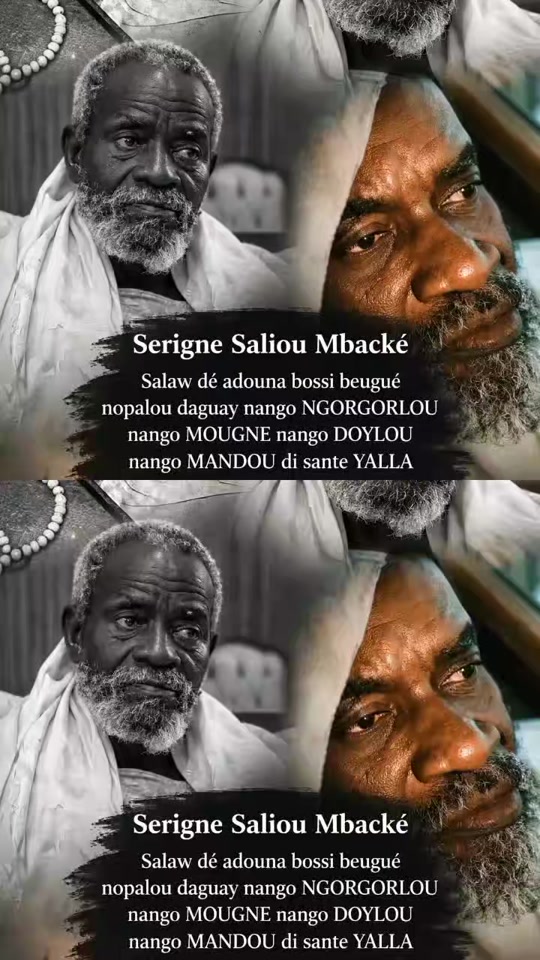 @serignesalihou