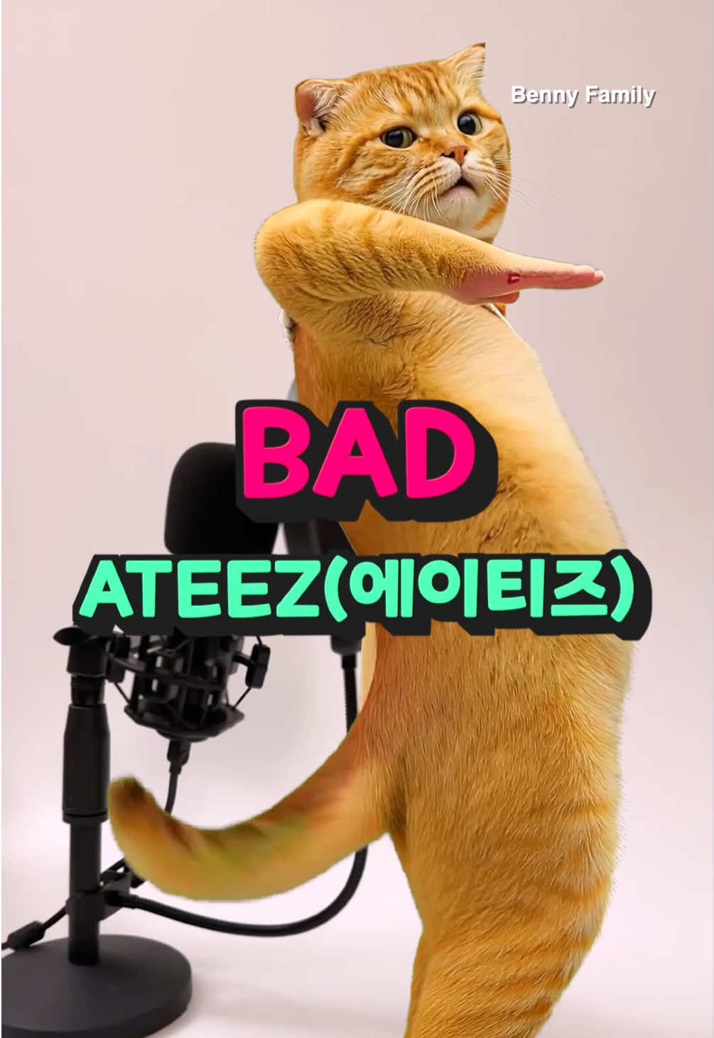 @베니패밀리 Benny Family