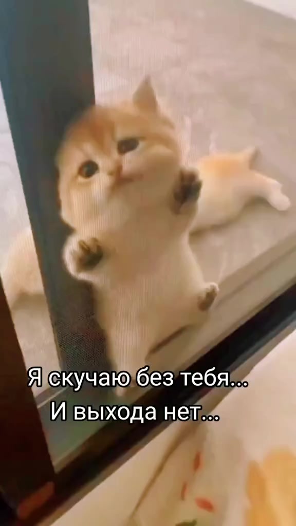 @Марина 🌹