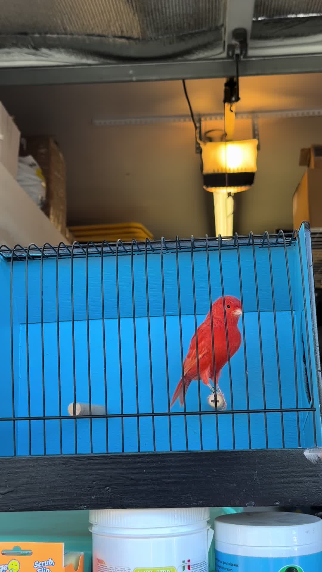 @AviarioUre&ntilde;a