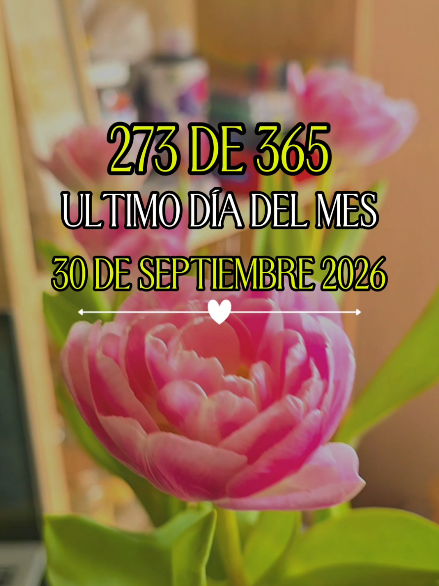 @Patricia Duerto