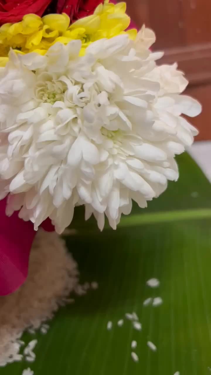 @𝓝𝓲𝓿𝓮𝓽𝓱𝓪94❤️✨
