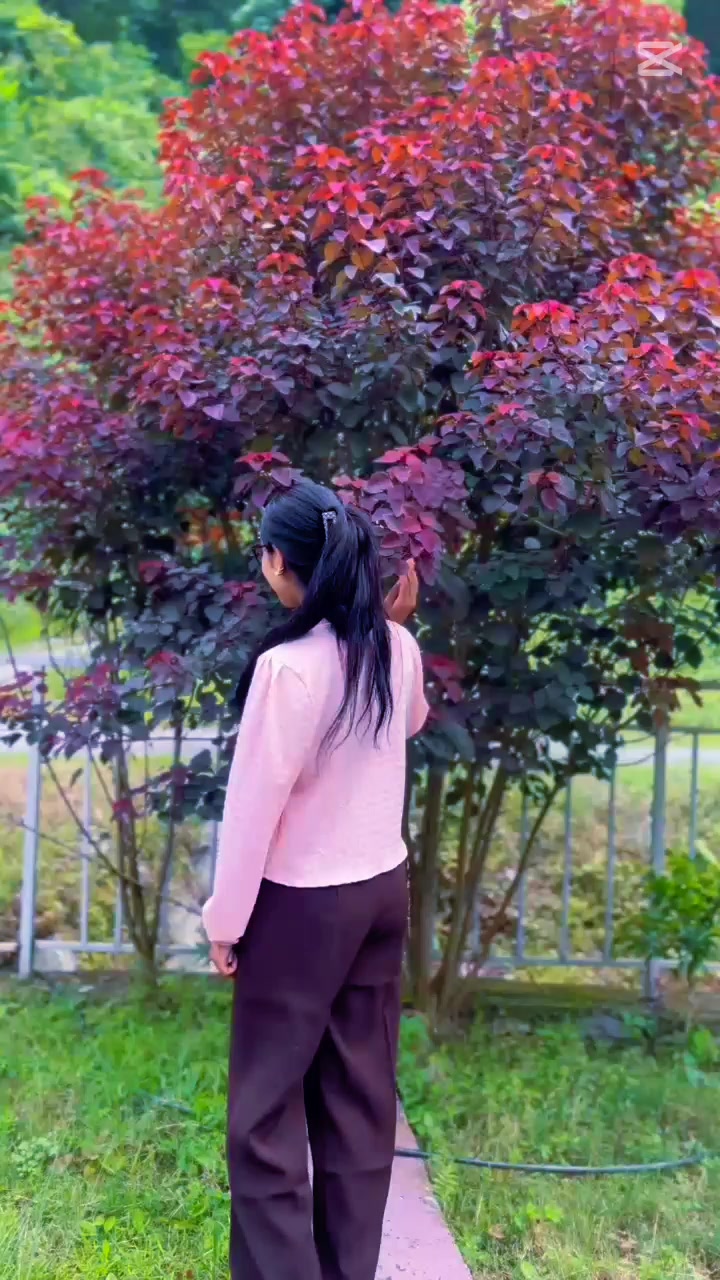 @magarnii๐๐