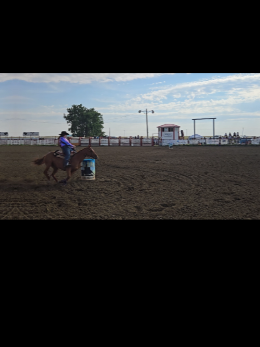 @Barrel Racing Journey