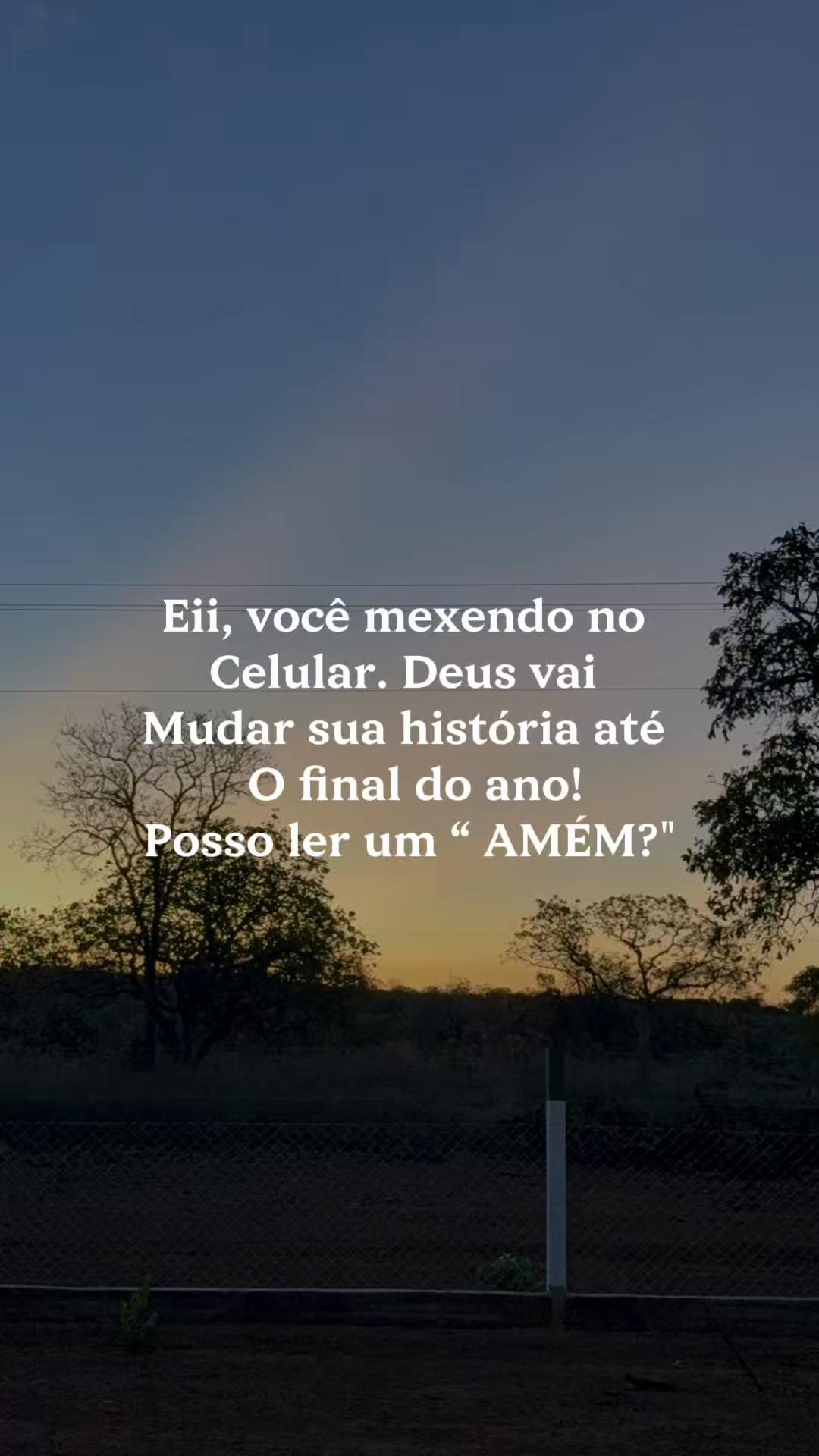 @Suzana Calixto