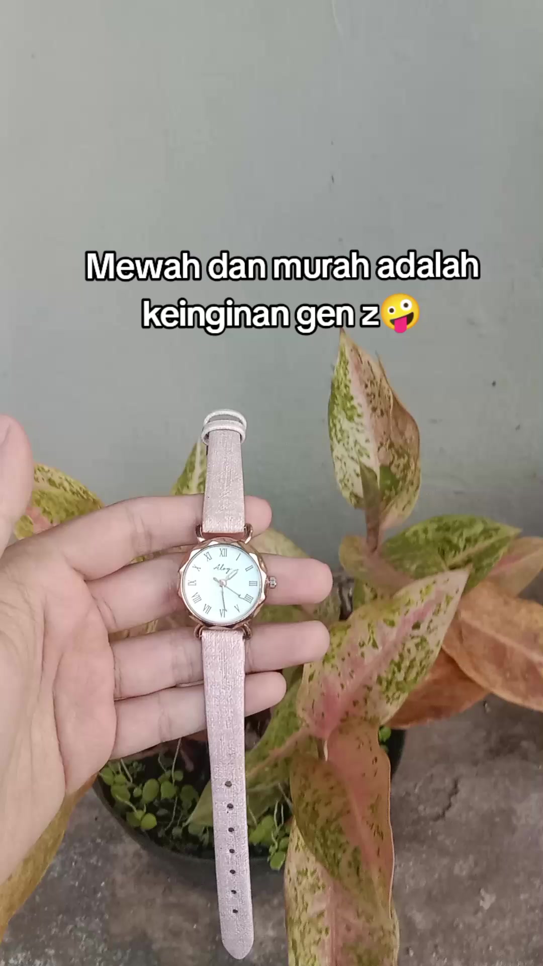 @S-tetik 🛒