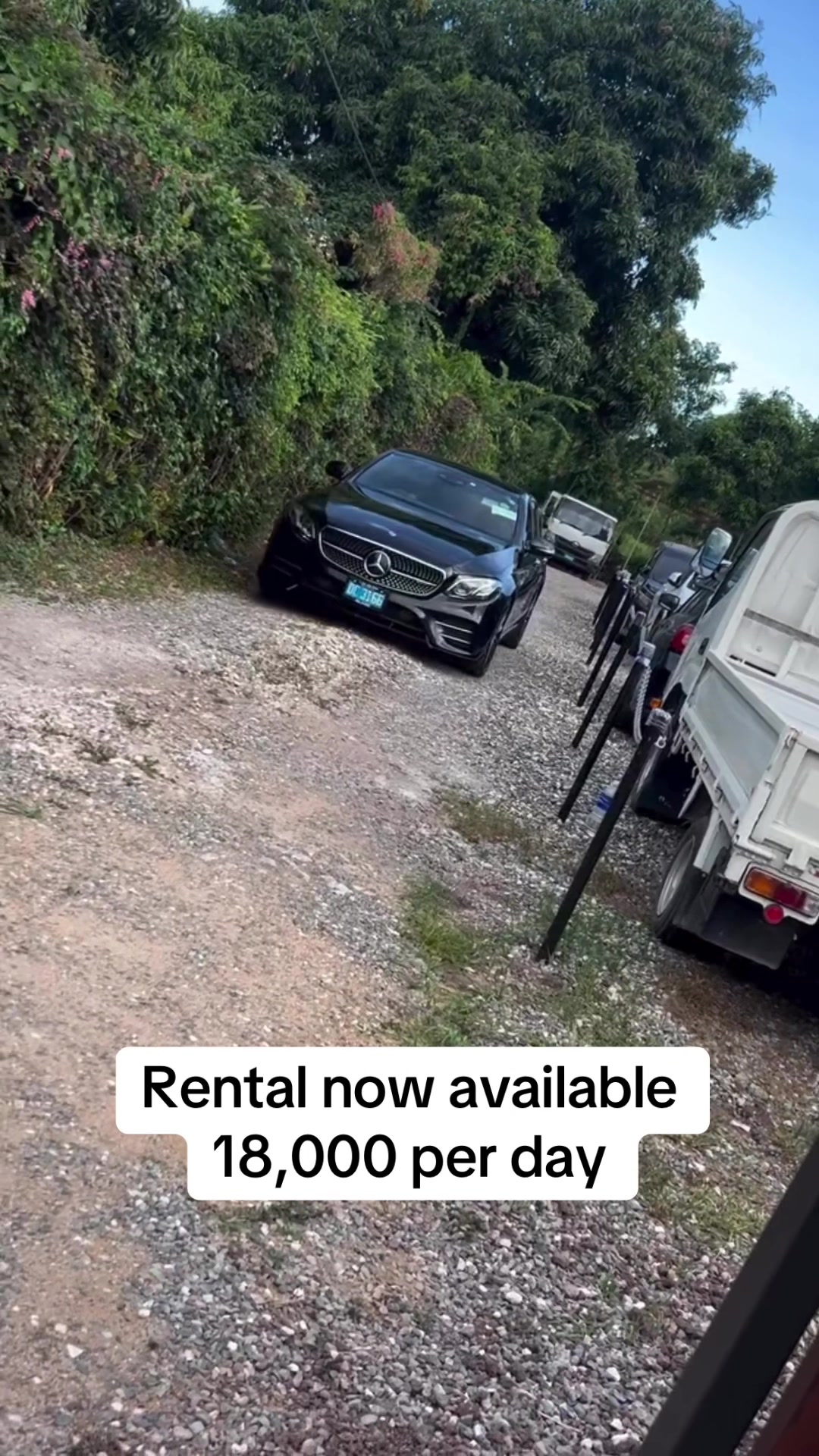 @jamaica_car_rental1