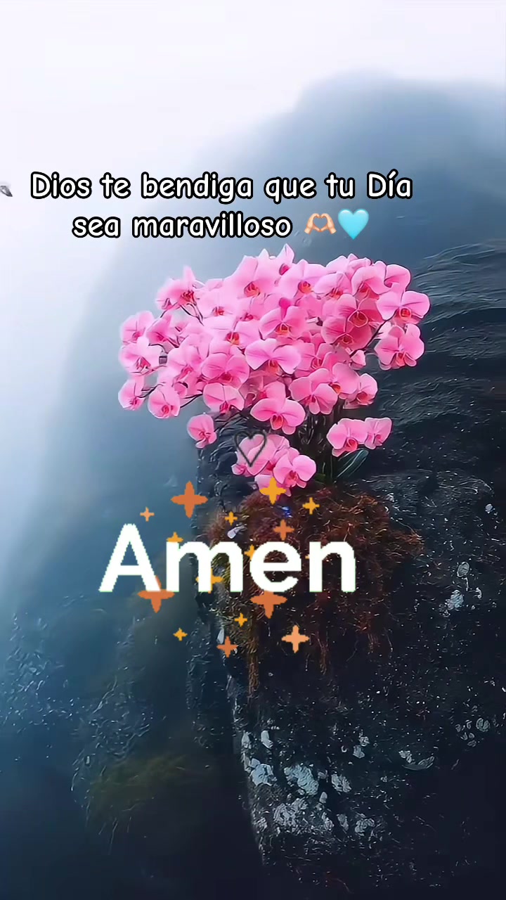 @dayanemar20