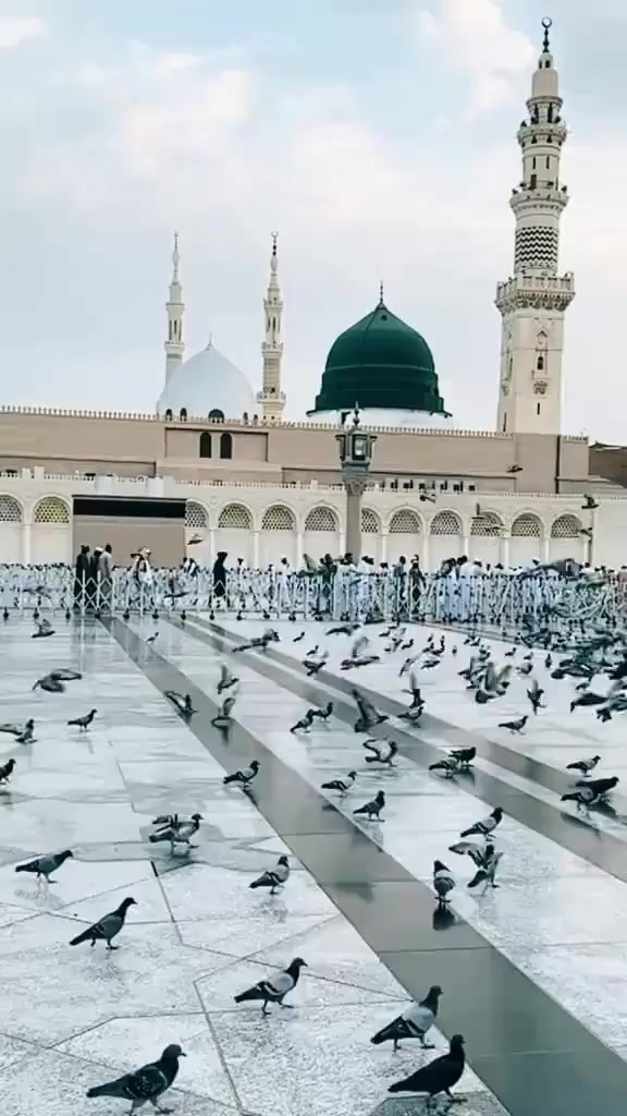 @Ghulam Mustafa satti