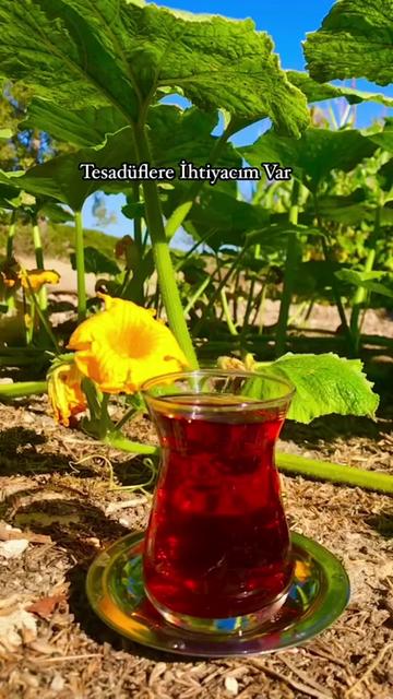 @BİR SERÇENİN GÖZYAŞ🕊️🕊️🕊️