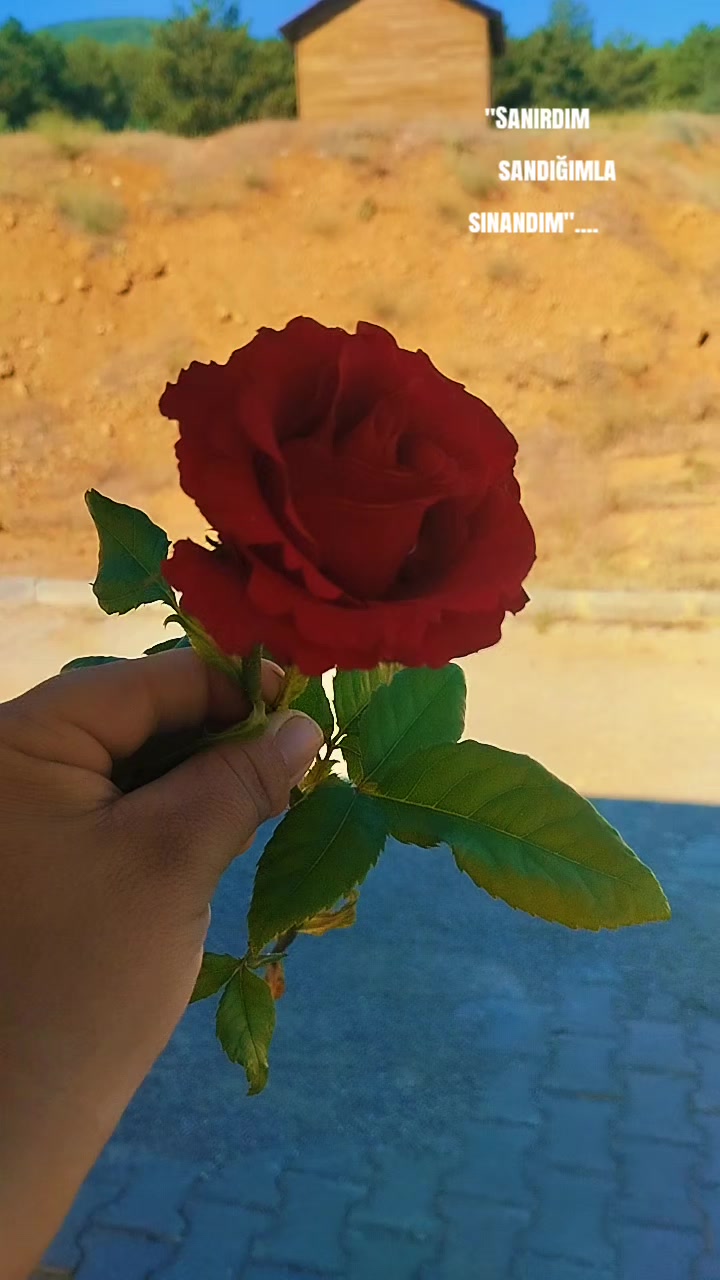 @🖤🌹🕊sbl03🖤🌹🕊