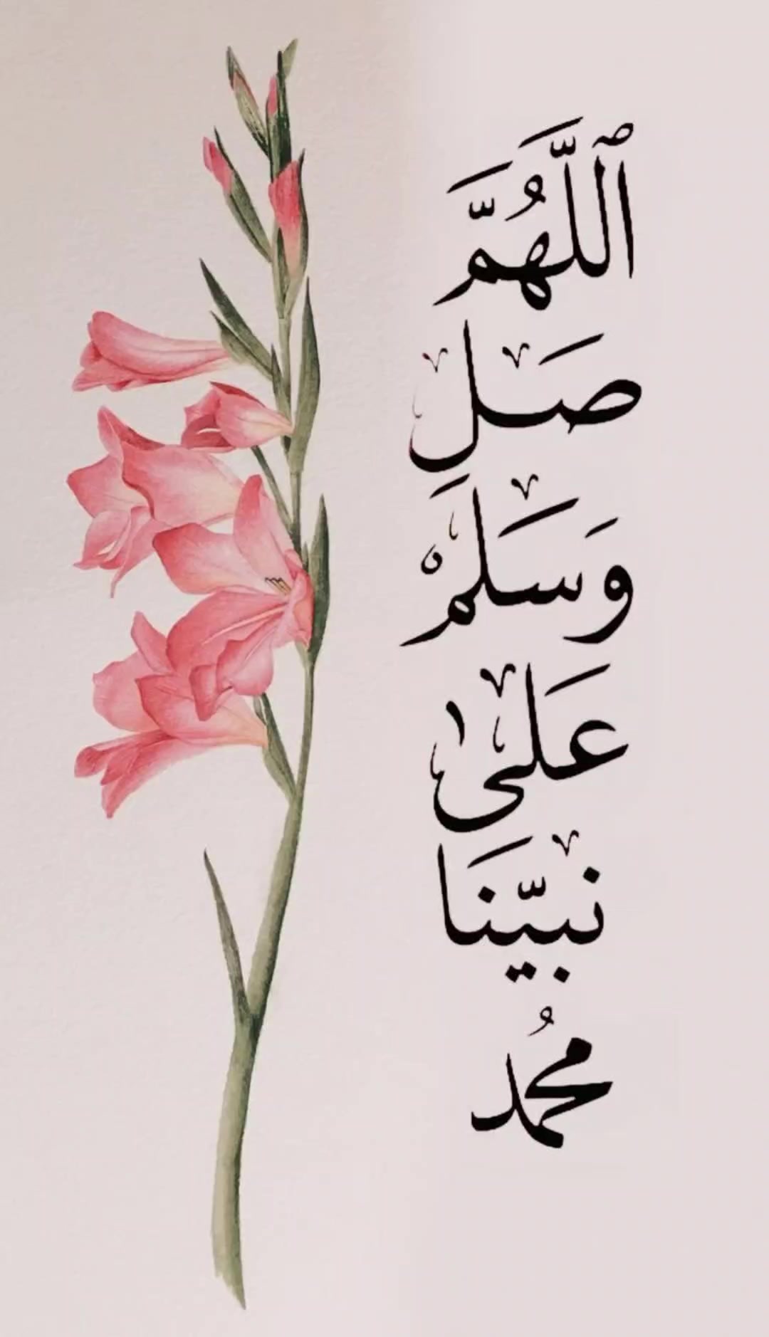 @haf Tamil bayan /hadith