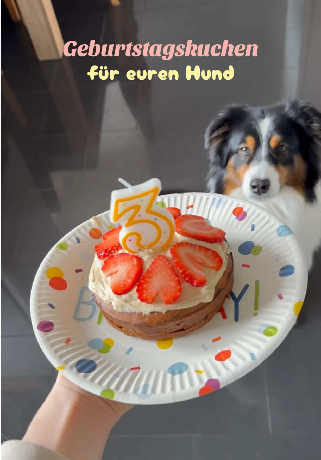 @Nina und Bubble 🐾