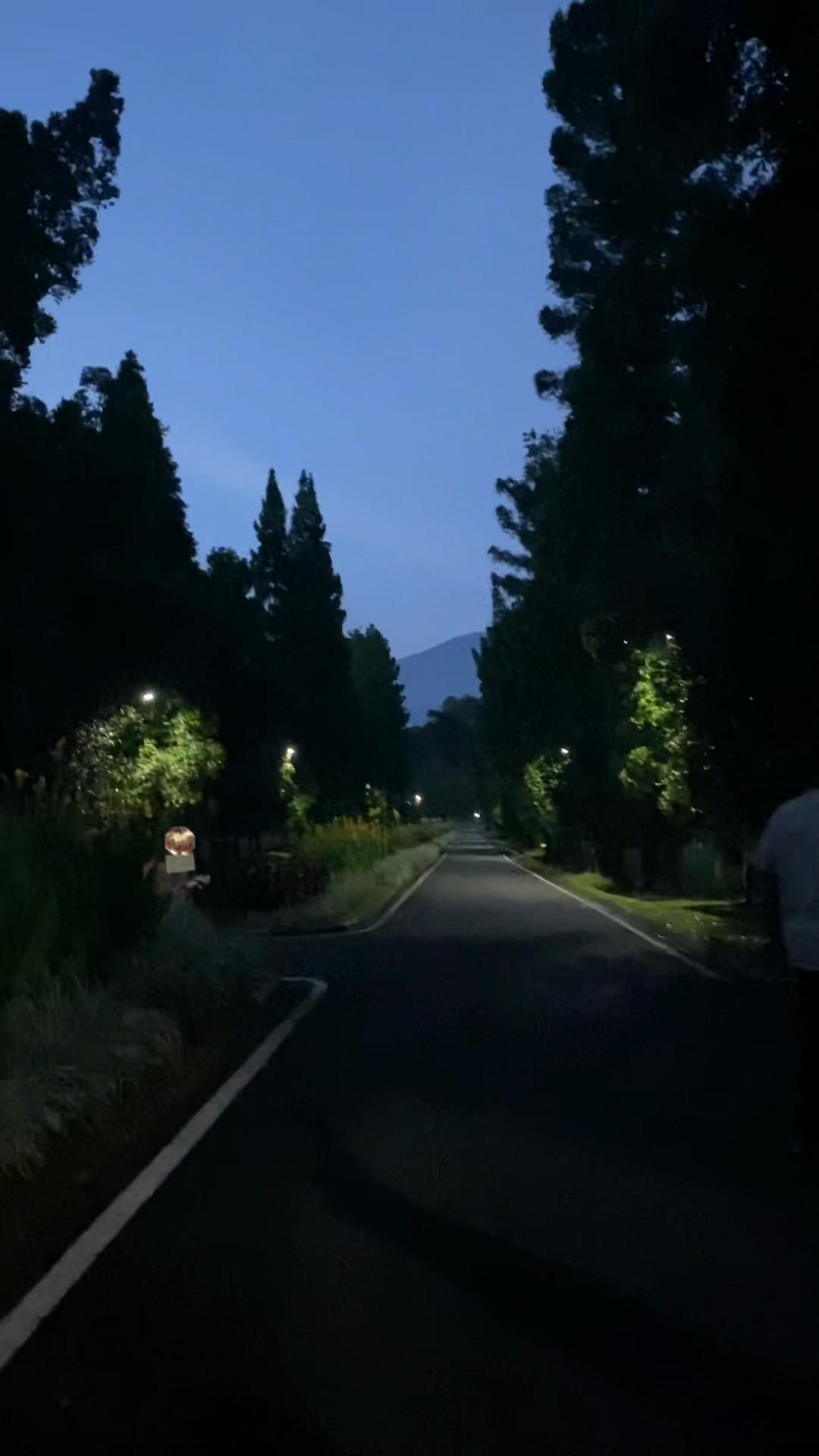 @🍃