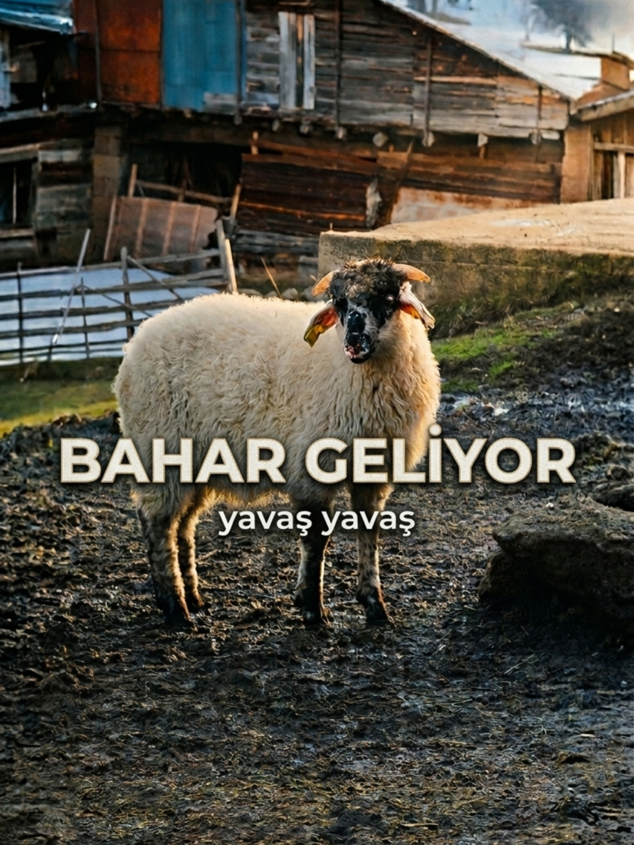 @Hüseyin URGAÇ