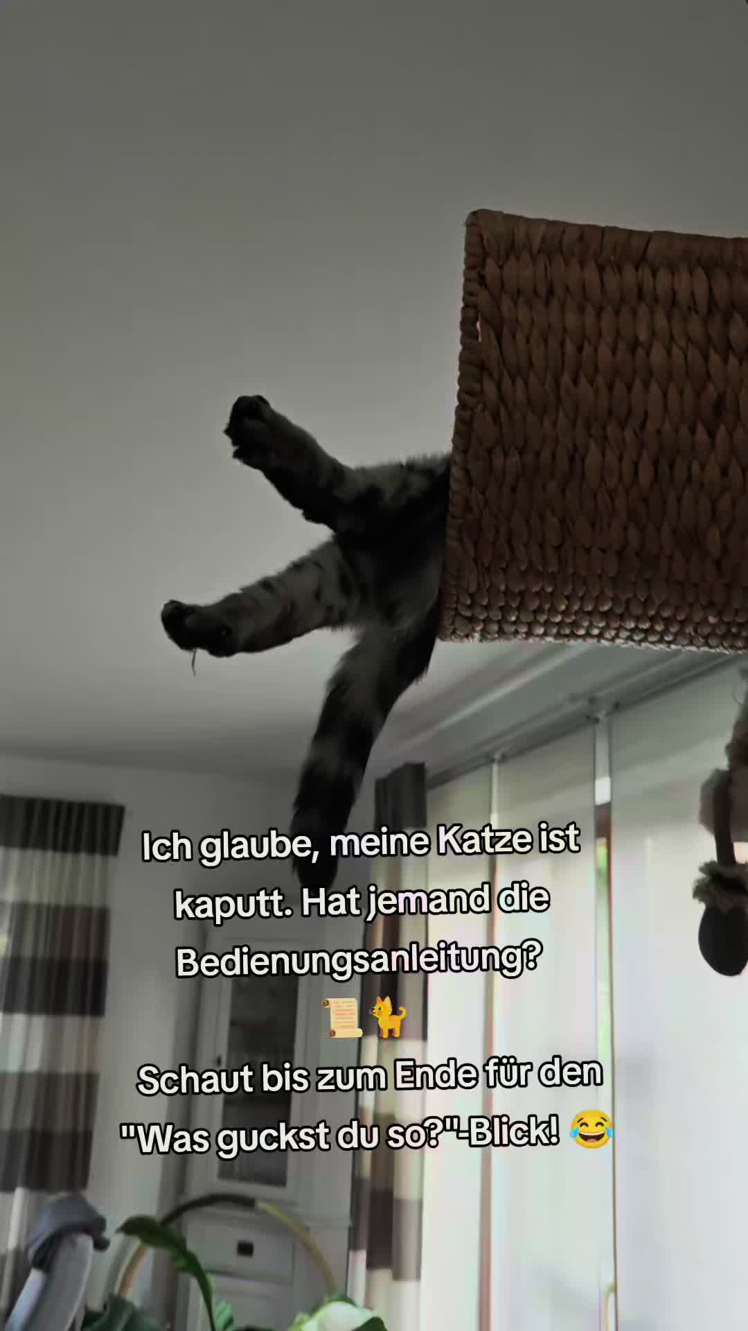 @12Pfoten&die Fellnasenmanager