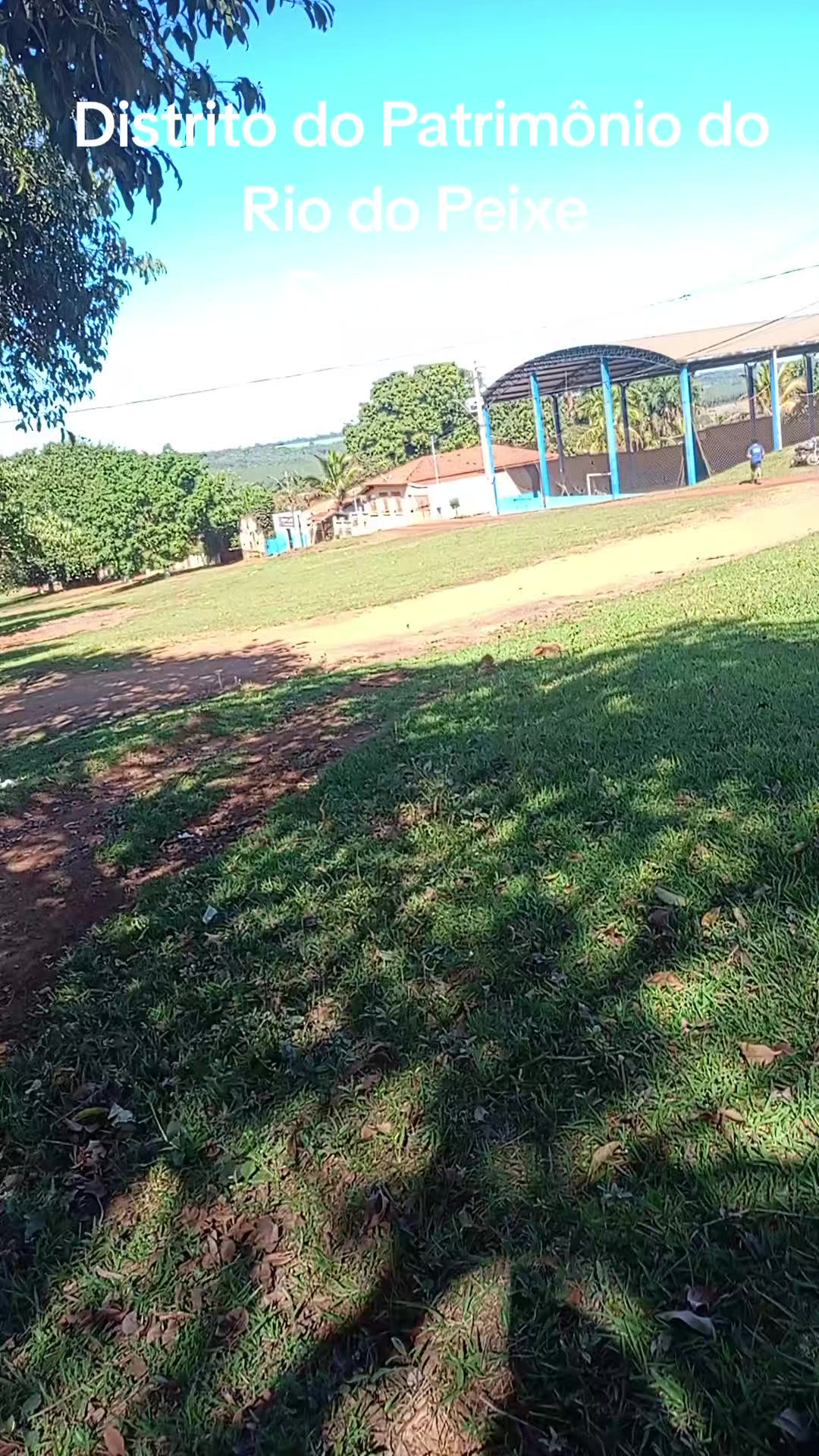 @Adriana Aparecida Si