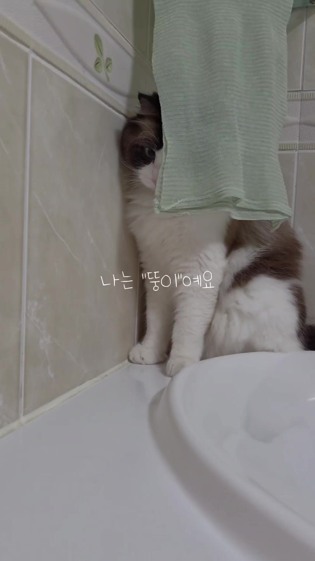 @ddoong2(๋ฑ์ด)