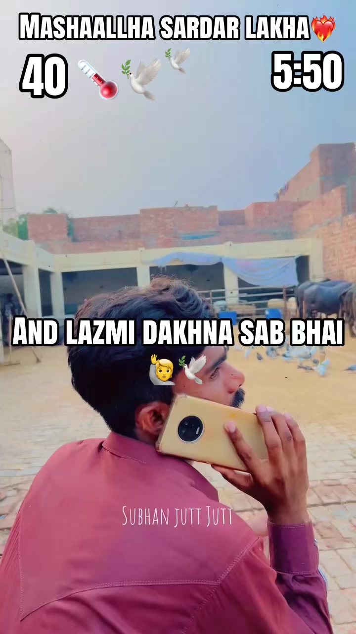 @Kabutar bazz jutt 🕊️❤️🔥🗣️