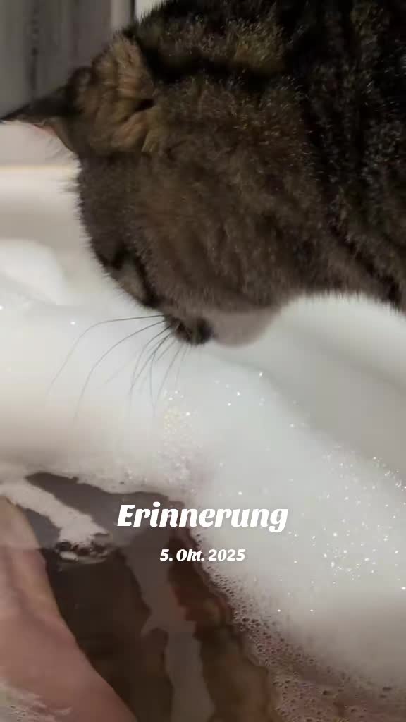 @😻Katrin&Odin 😻Modi Muddi 😻