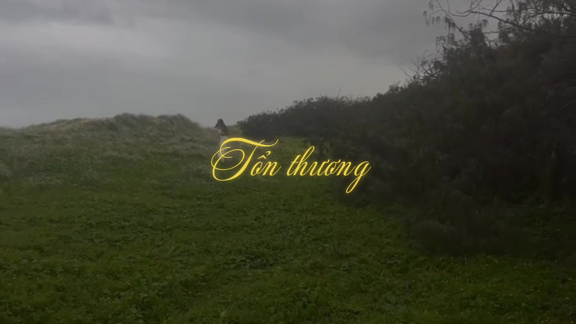 @мιɴн нoàɴԍ