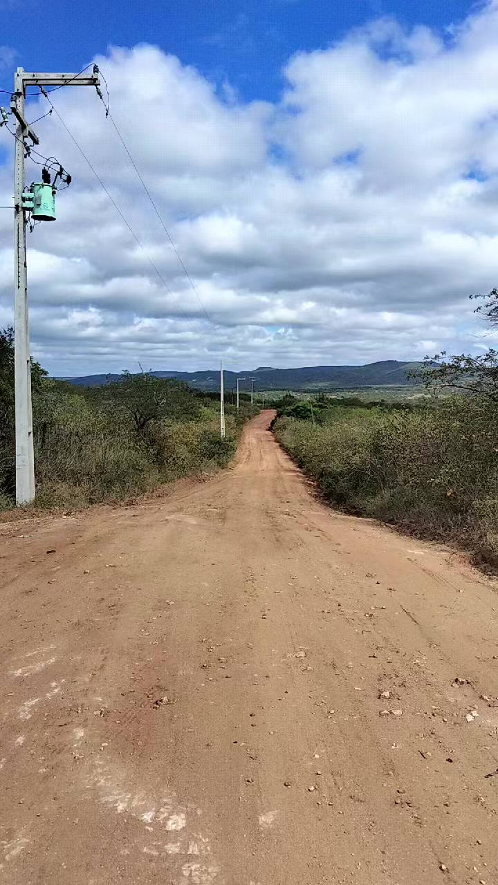 @Ivanildo⚡🐺🐺💯💯🐻⚔️