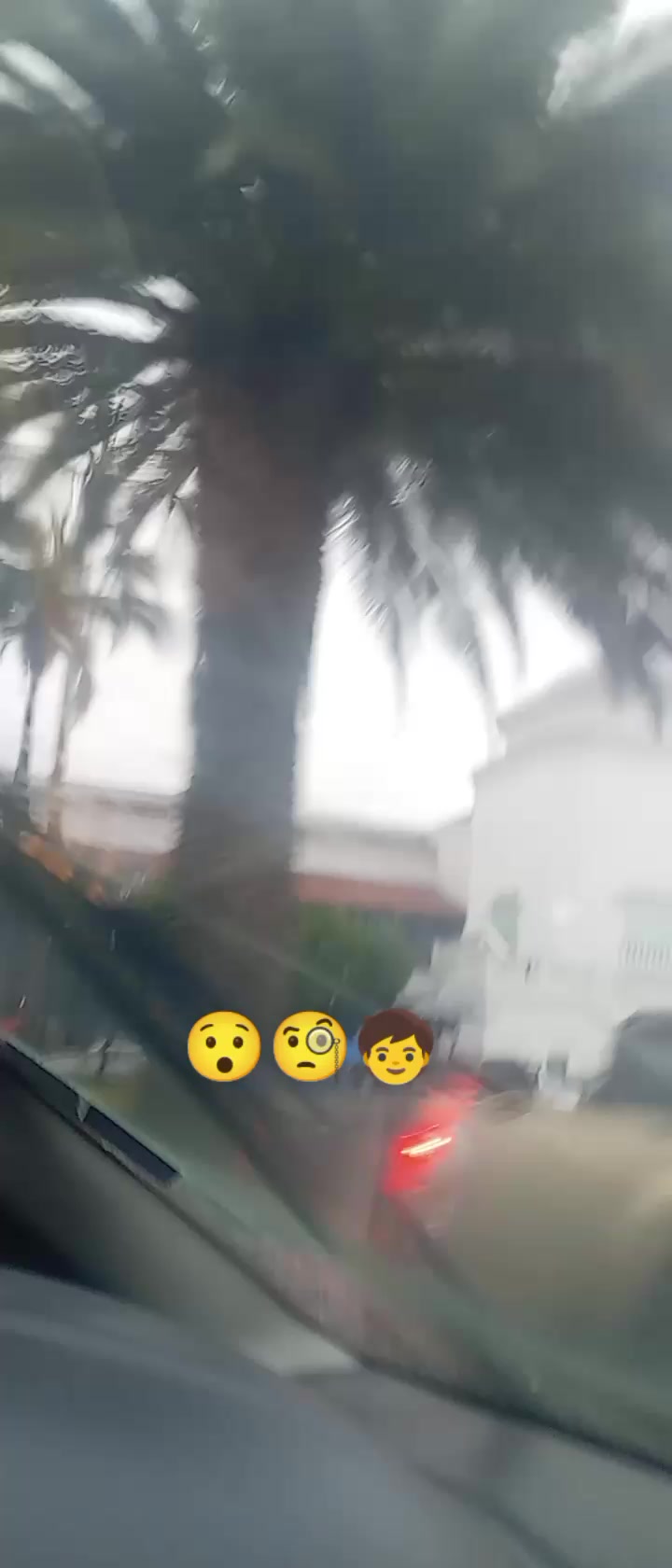 @Elsa Av