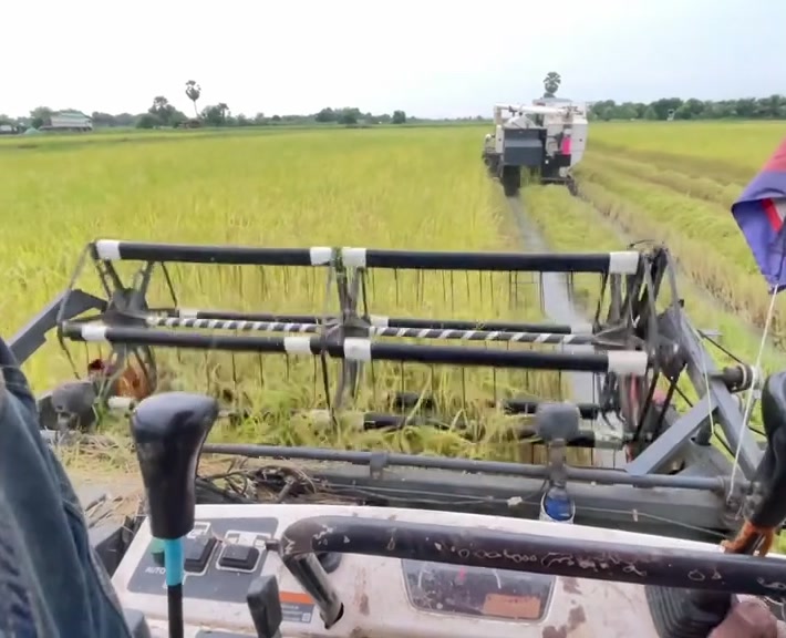 @តៃកុង វ័យក្មេង🌾🚜