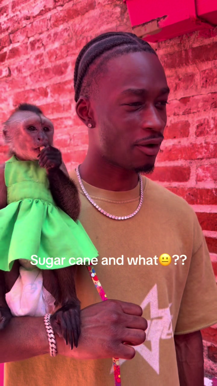 @Diallo