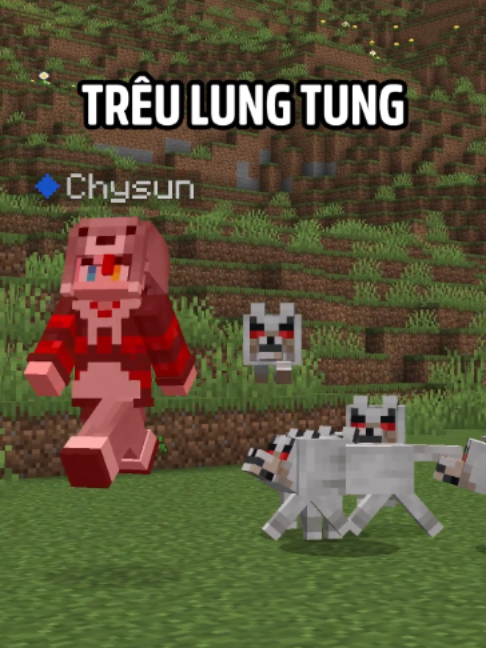 @Chysun