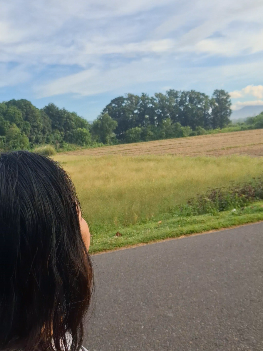 @ady🌳