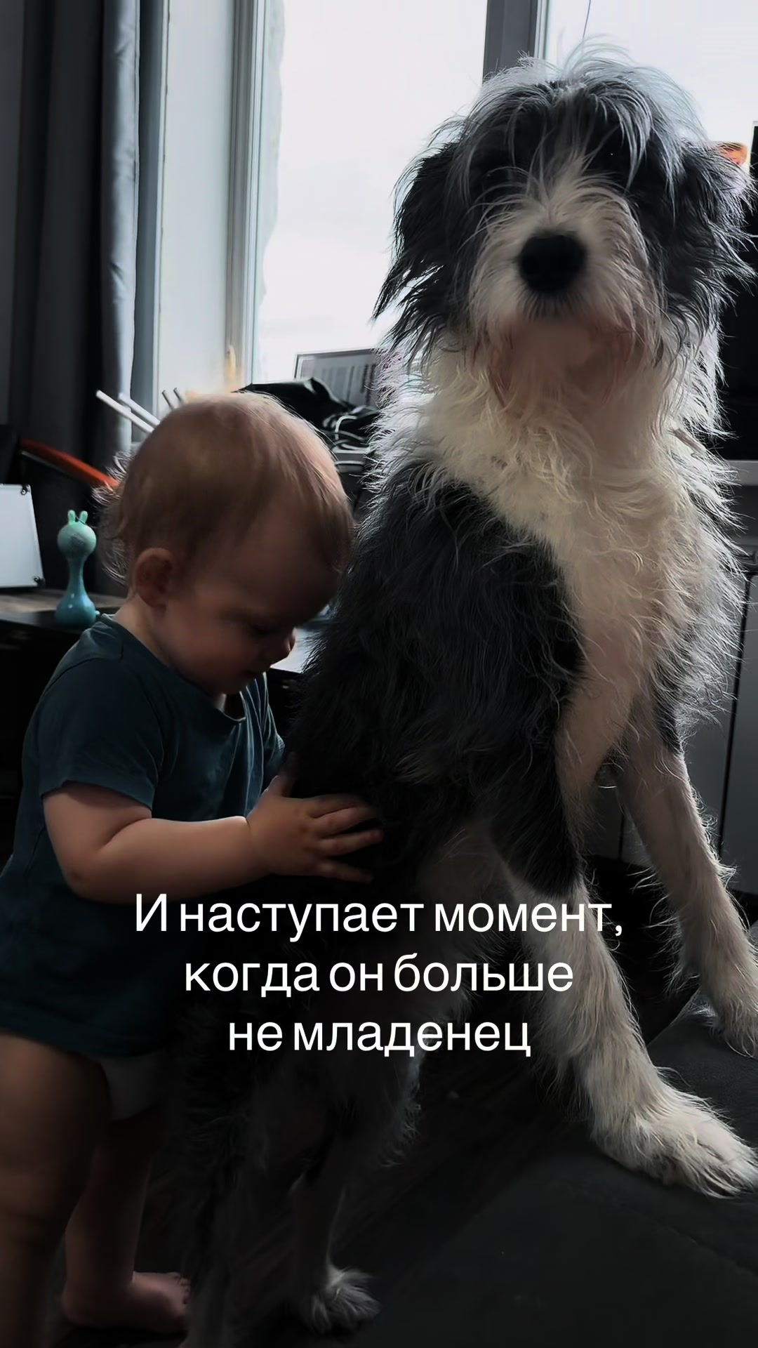 @PishuNova