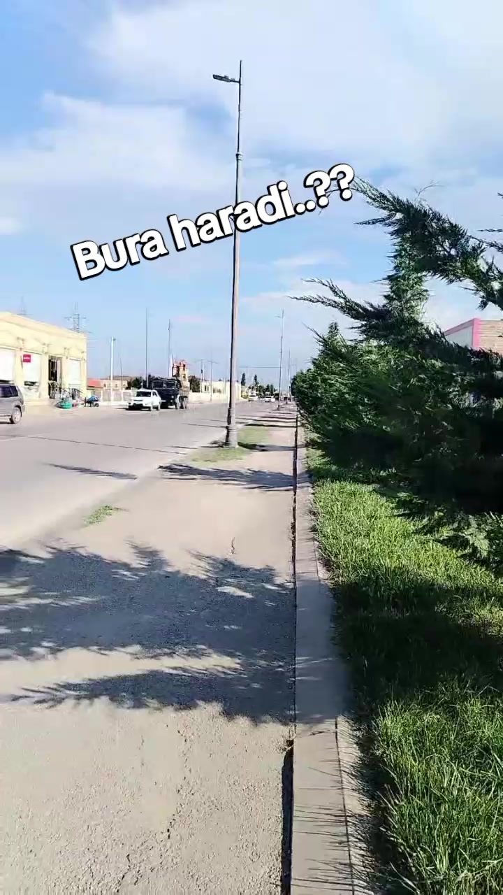 @tənbəl.panda