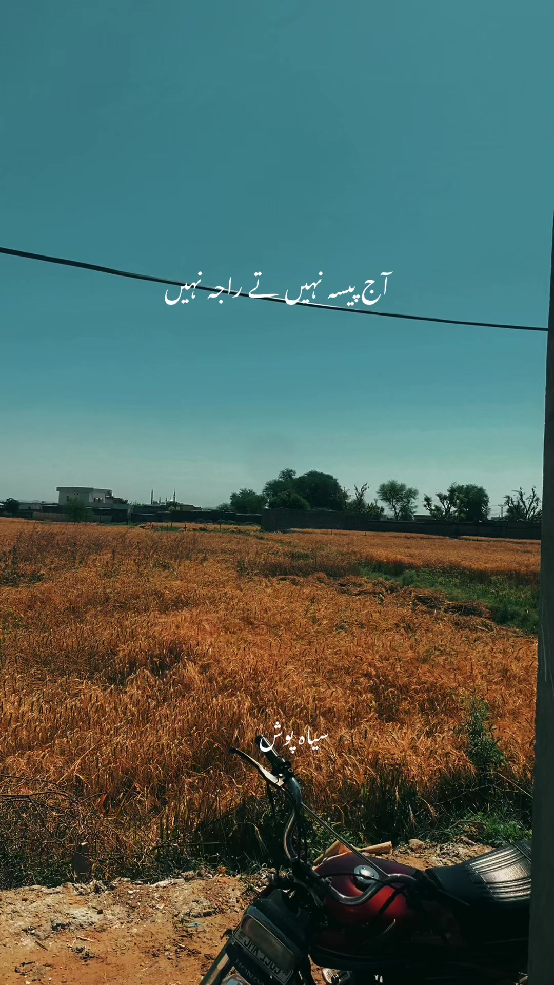 @سیاہ پوش🖤