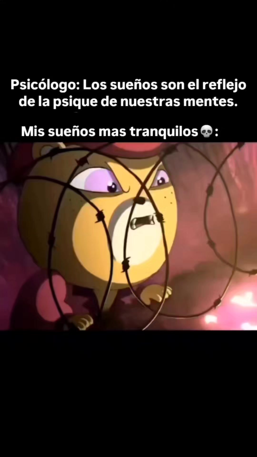 @Chava Ruiz