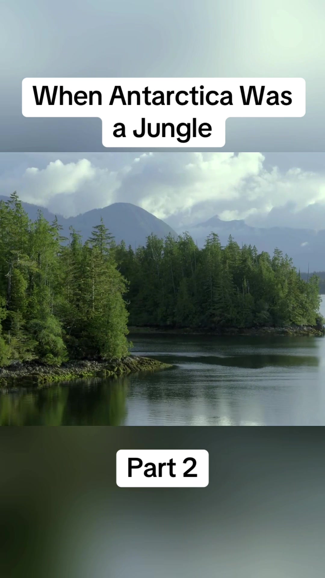 @DonkiGeo