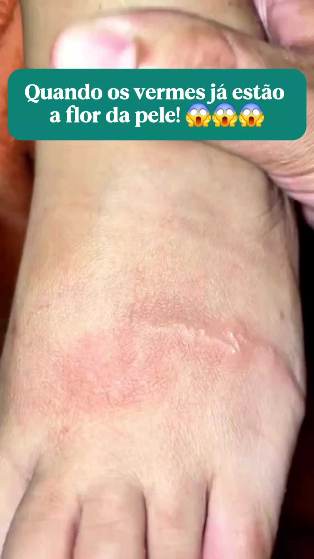 @Dra. Lu Mascarenhas Naturopata