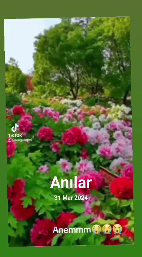 @SİVASGÜZELİ✋