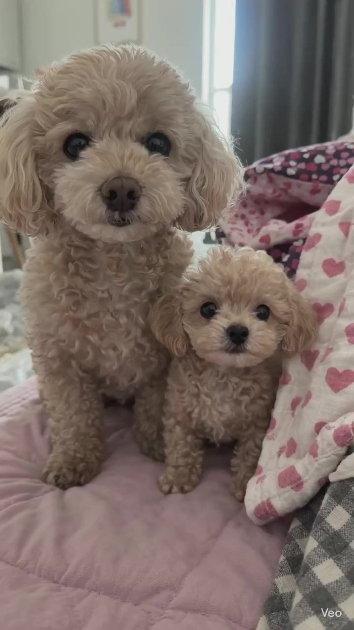 @욱사마TV