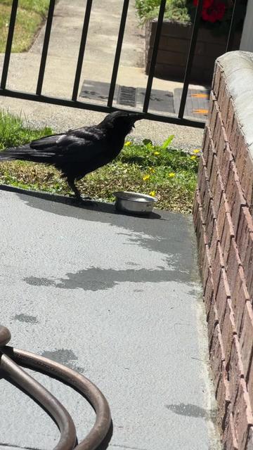 @Queen👸👑